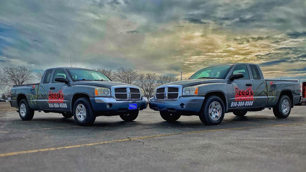 Pest Control Columbus, OH Request a Quote Today!