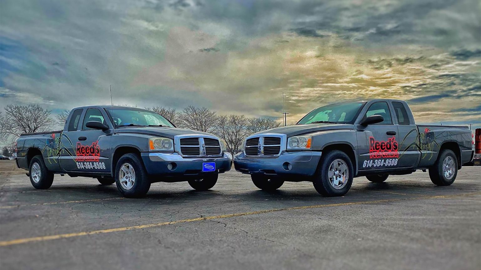 Pest Control Columbus, OH Request a Quote Today!